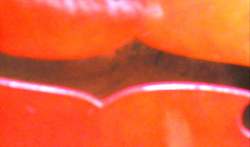 Harnony Rocket III cherry 1966 AUT_8113.JPG